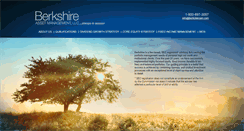Desktop Screenshot of berkshireasset.com